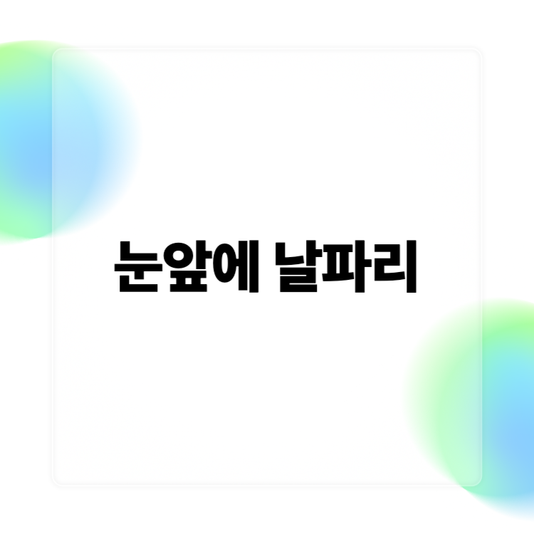 눈앞에 날파리